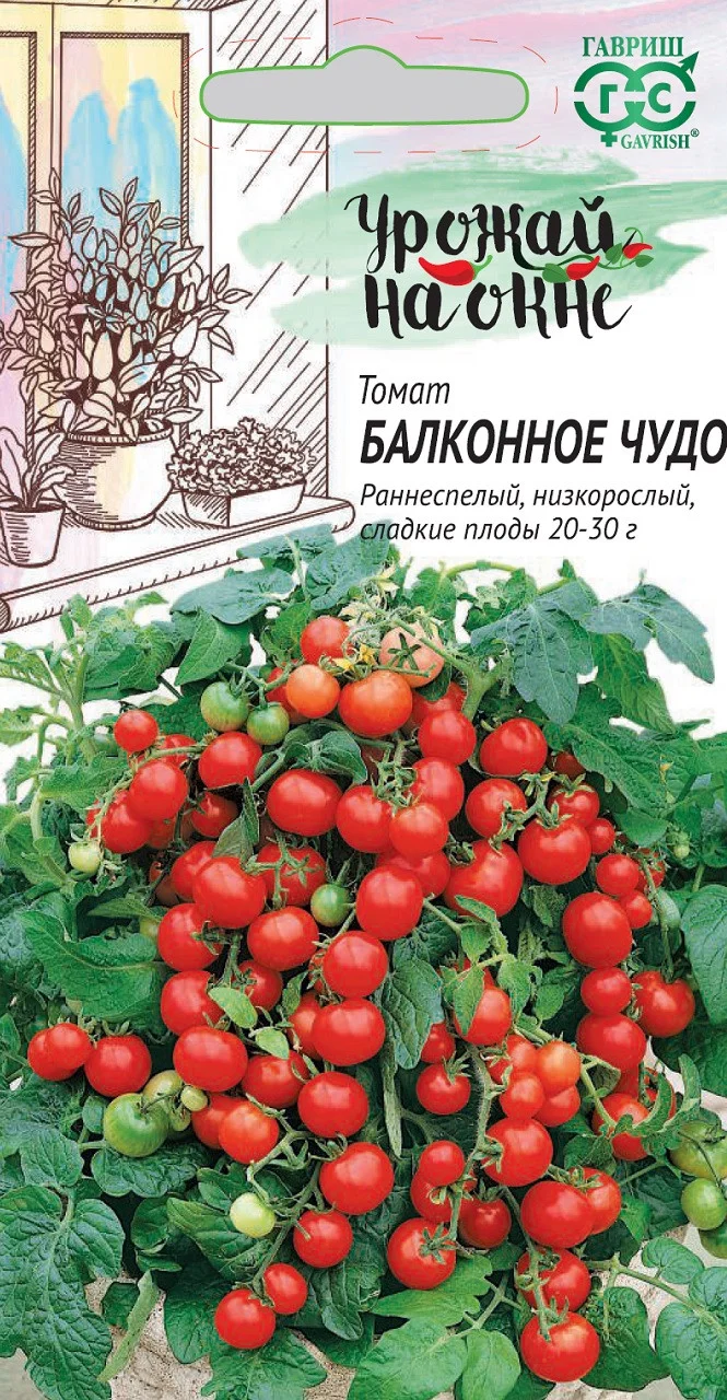 Бордовый семена Томат Балконный, 4 вида