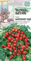 Бордовый семена Томат Балконный, 4 вида