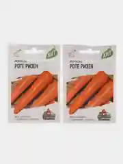 Семена Морковь "Роте Ризен" Красный великан, набор 1 и 2 пак, 1,5 г серия ХИТ х3