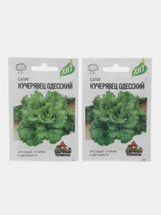 Семена Салат "Кучерявец Одесский" хрустящий, набор 1 и 2 пак, 0,5 г серия ХИТ х3