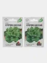 Семена Салат "Кучерявец Одесский" хрустящий, набор 1 и 2 пак, 0,5 г серия ХИТ х3