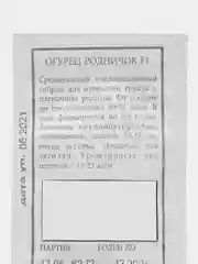 Семена Огурец РОДНИЧОК F1