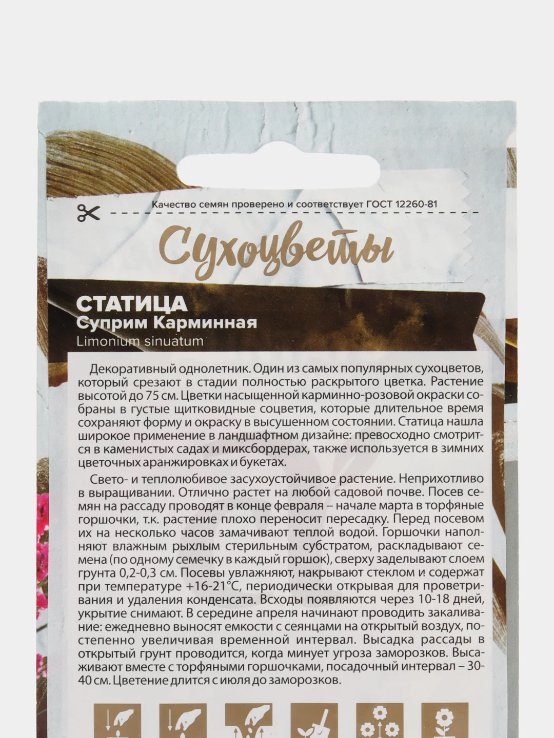 Статица Суприм Карминная (семена,цветы)