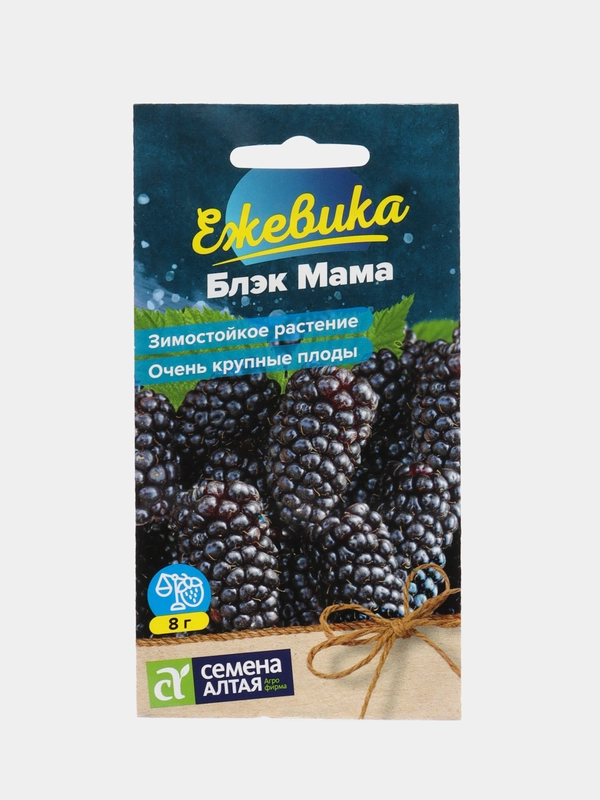 Ежевика Блэк Мама крупноплодная (семена)