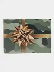 Золотистый хаки подарочная коробка для мужчины, парня