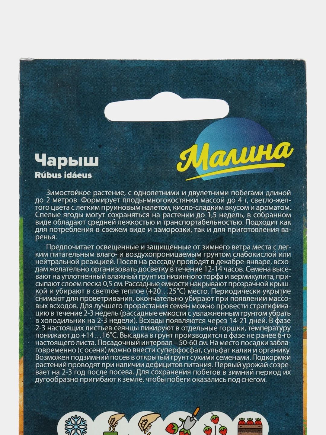 Малина Чарыш желтая (семена)