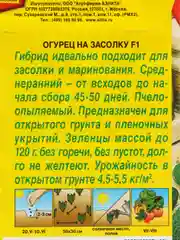 Огурец На засолку F1 10шт. (Аэлита)