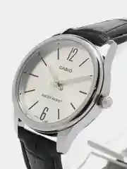 Наручные часы Casio LTP-V005L-7B