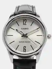 Наручные часы Casio LTP-V005L-7B