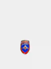 Брошь, брошь на форму, брошь полиция, брошь подарок, значок, бижутерия