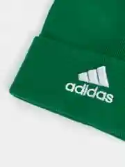 Зеленый шапка женская двухслойная трикотажная с нашивкой Адидас (Adidas)