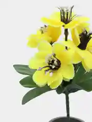 Желтый ветреница, букеты на пасху