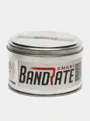Умные часы BandRate Smart BRSLC306SGR с тонометром, шагомером, мониторингом сна