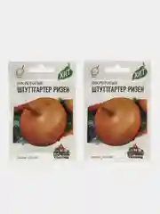 Семена Лук репчатый "Штуттгартер Ризен", набор 1 и 2 пак, 0,05 г
