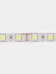Лента светодиодная 12V 14.4 Вт/м 60 свд/м IP20 6000K 5м 840 Лм/м Ecola SMD5050 S2LD14ESB