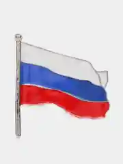 Алый брошь мужская и женская "Полиция, флаг"