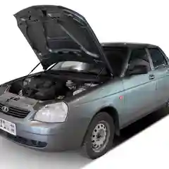 Газовые упоры капота АвтоУпор для Lada Priora 2007-2018, 2 шт., ULAPRI012