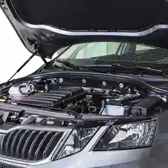 Черный газовые упоры капота АвтоУпор для Skoda Octavia (Шкода Октавия) A7 2013-2020, USKOA7012