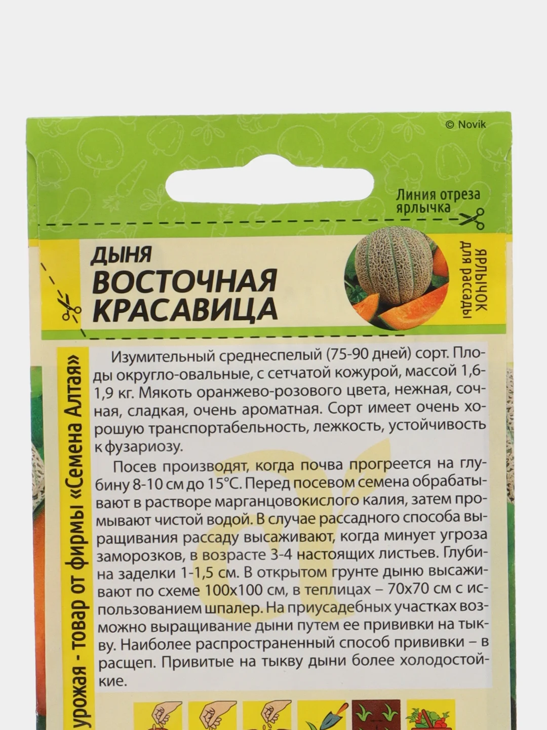 Дыня Восточная Красавица (семена)