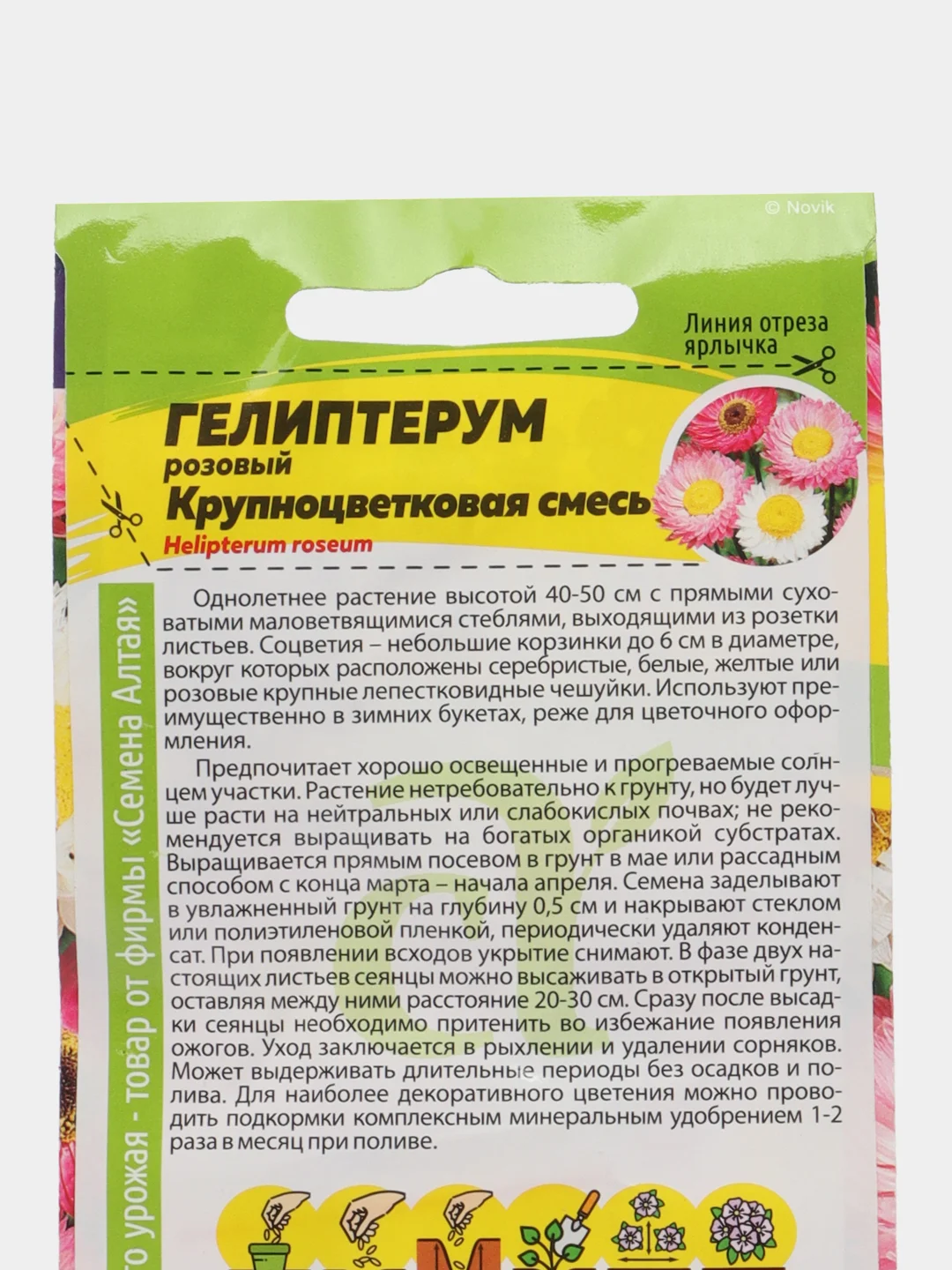 Гелиптерум розовый Крупноцветковая смесь (семена,цветы)
