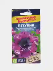 Петуния Превосходнейшая Темно-пурпурная (семена,цветы)
