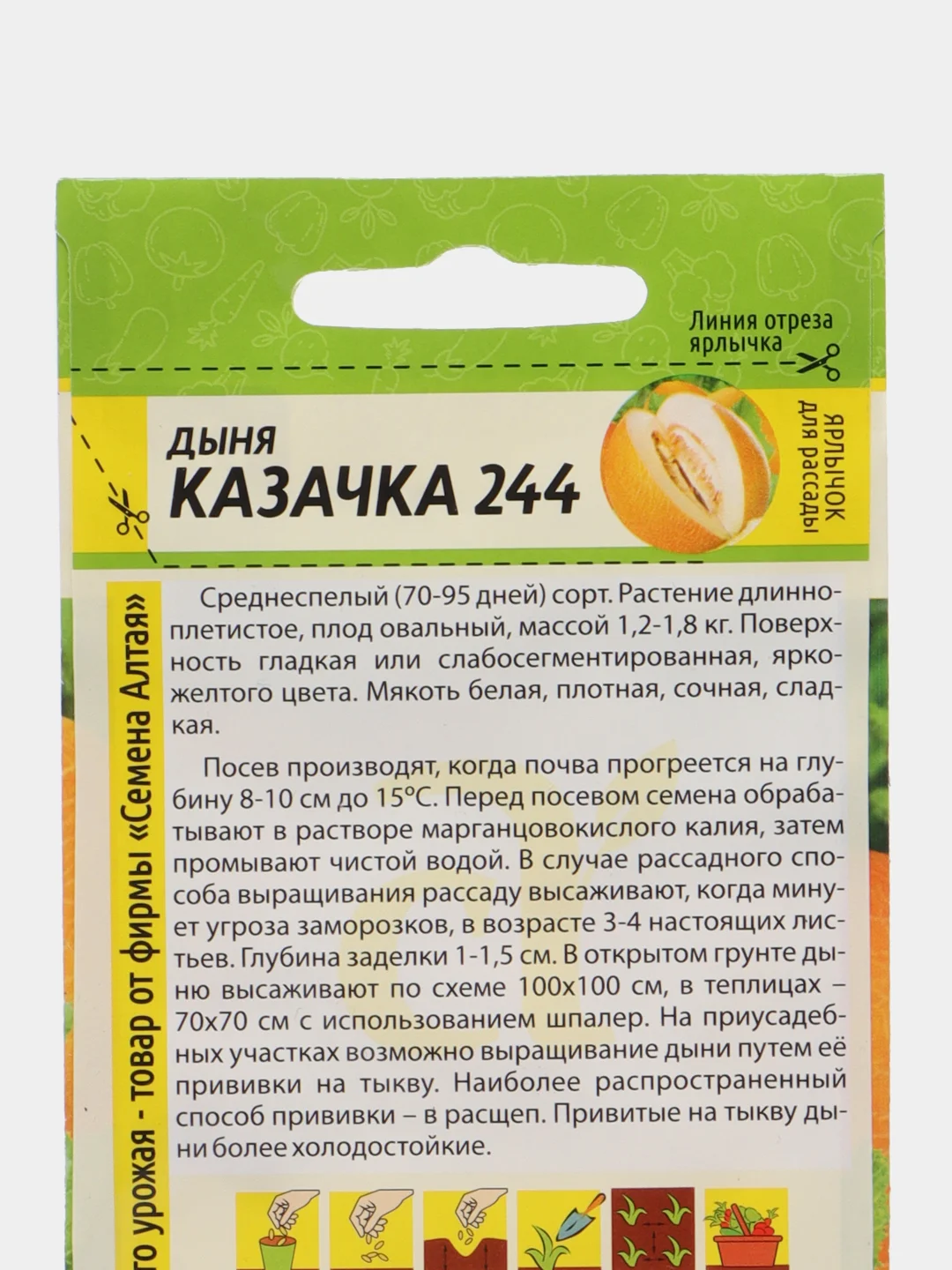 Дыня Казачка (семена)