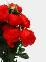 Алый камелии, букет из искусственных цветов, 18веток, 24 бутона, высота 50 см