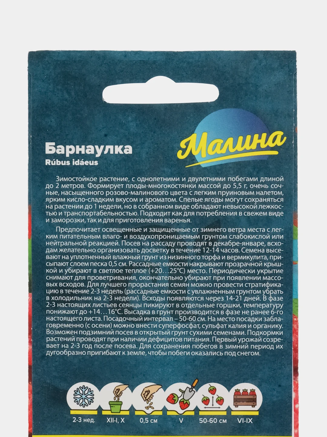 Малина Барнаулка красная (семена)