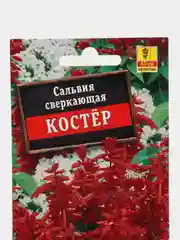 Сальвия Костер 0,1г (Аэлита)