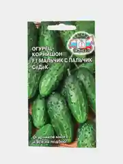 Огурец Мальчик с пальчик F1 0,2г (СеДеК)