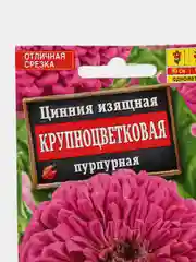 Цинния Крупноцветковая пурпурная 0,3г (Аэлита)