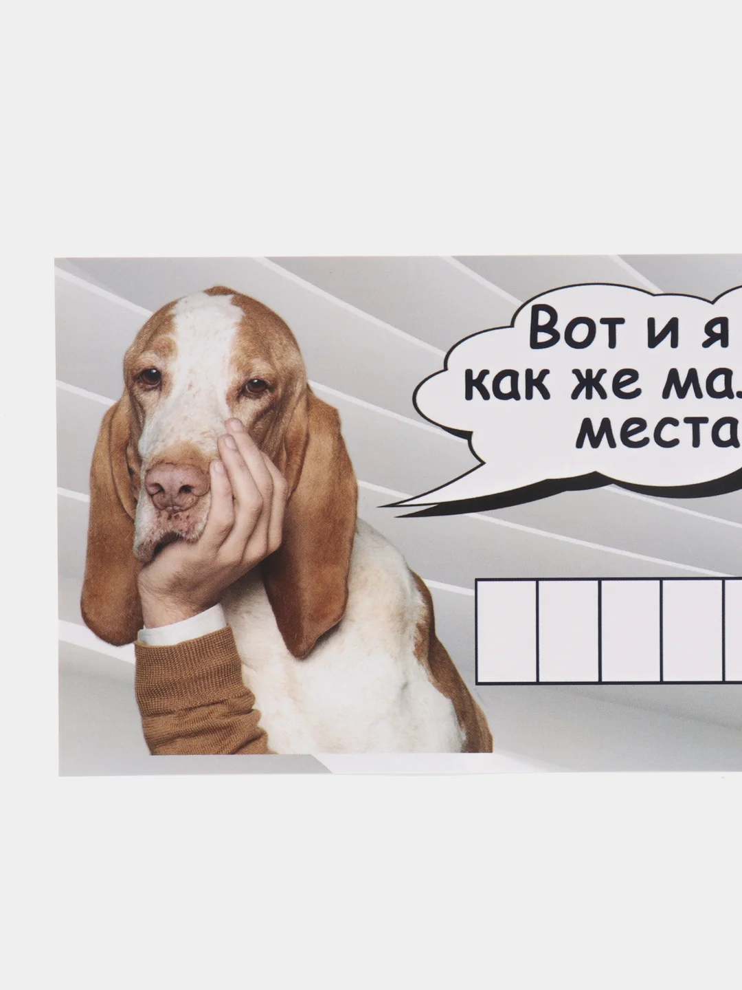 Ледяной автовизитка парковочная с номером телефона для автомобиля, 20,8*9,7 см