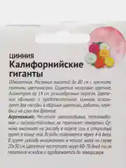 Семена цветов Цинния "Калифорнийские гиганты", набор 1 и 2 пак, 0,4 г