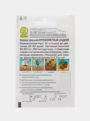 Семена Базилик овощной, набор 1 и 2 пак, "Крупнолистный" сладкий "Лидер", 0,3 г ,