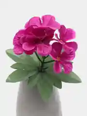 Розовый фиалки искусственные
