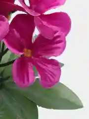Розовый фиалки искусственные