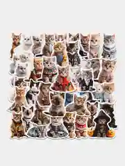 Прозрачный наклейки-стикеры котики мемы, 50 штук. Стикерпак с котиками и собачками, скрапбукинг. Таро