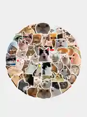Розовый наклейки-стикеры котики мемы, 50 штук. Стикерпак с котиками и собачками, скрапбукинг. Таро