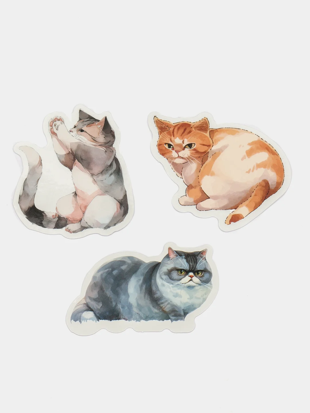 Лесной зеленый набор наклеек с кошками, стикеры котики и лапки, детские, для девочек, 50 штук