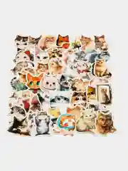 Лесной зеленый набор наклеек с кошками, стикеры котики и лапки, детские, для девочек, 50 штук