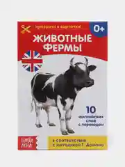 Терракотовый развивающие карточки по методике Г. Домана в одном месте (мега)