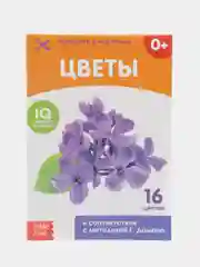 Медный развивающие карточки по методике Г. Домана в одном месте (мега)