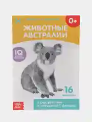 Кремовый развивающие карточки по методике Г. Домана в одном месте (мега)