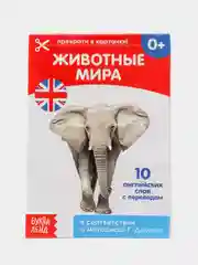 Салатовый развивающие карточки по методике Г. Домана в одном месте (мега)