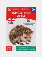 Серебряный развивающие карточки по методике Г. Домана в одном месте (мега)