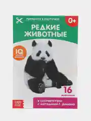 Лесной зеленый развивающие карточки по методике Г. Домана в одном месте (мега)