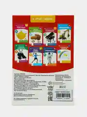 Алый развивающие карточки по методике Г. Домана в одном месте (мега)
