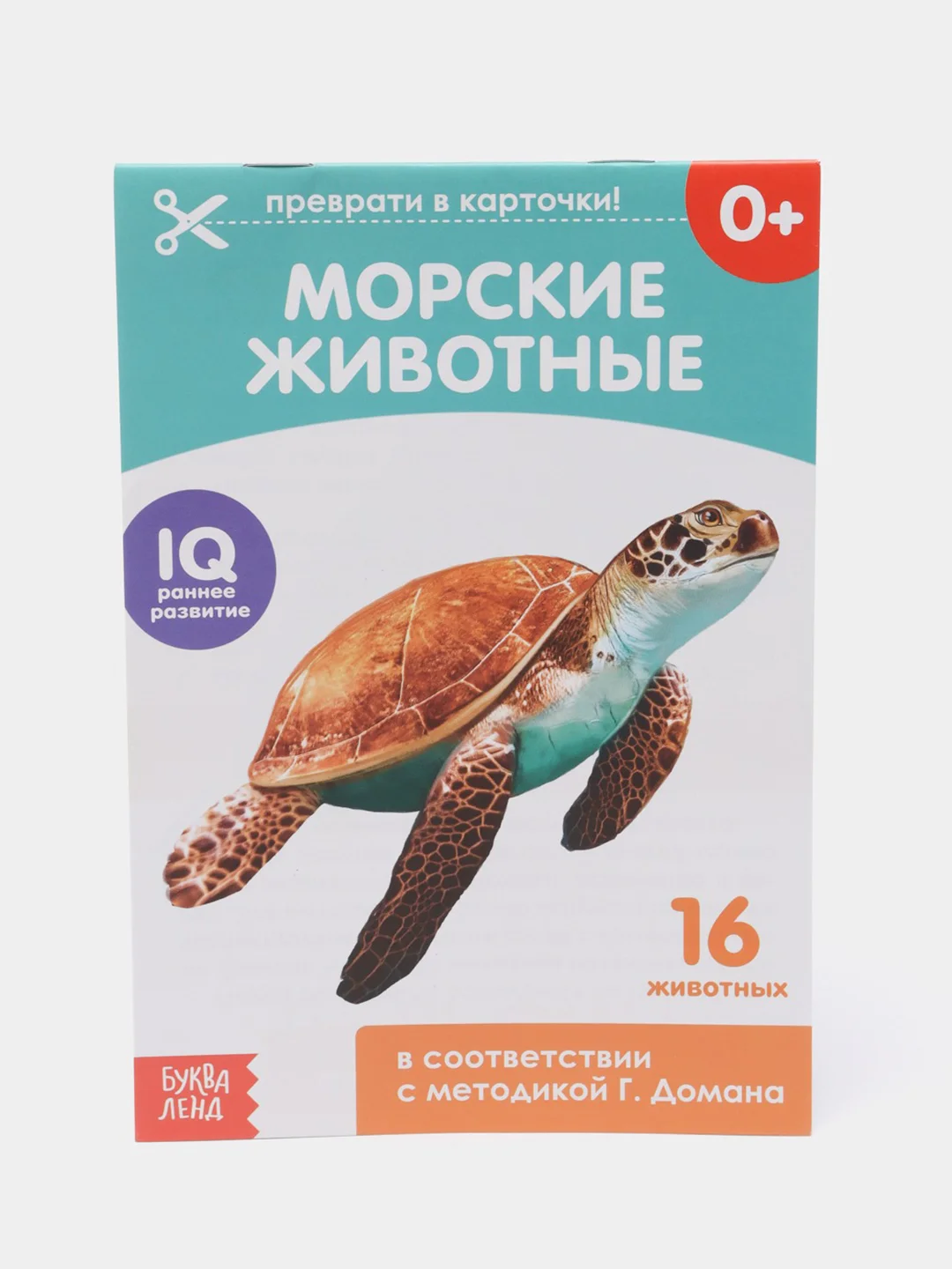 Небесно-голубой развивающие карточки по методике Г. Домана в одном месте (мега)