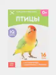 Зеленый развивающие карточки по методике Г. Домана в одном месте (мега)