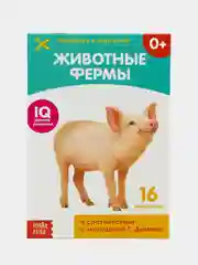 Бирюзовый развивающие карточки по методике Г. Домана в одном месте (мега)